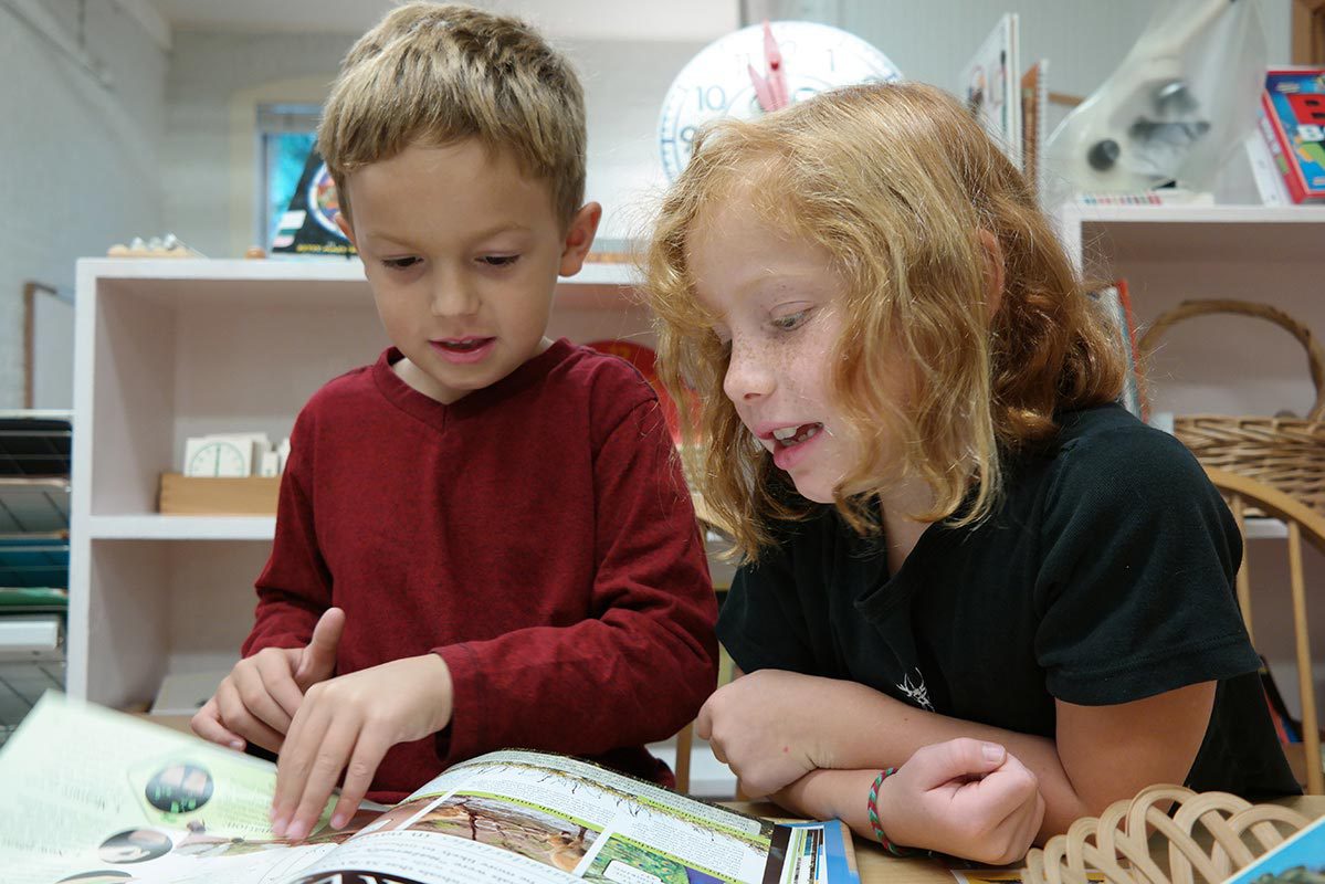 Junior Elementary